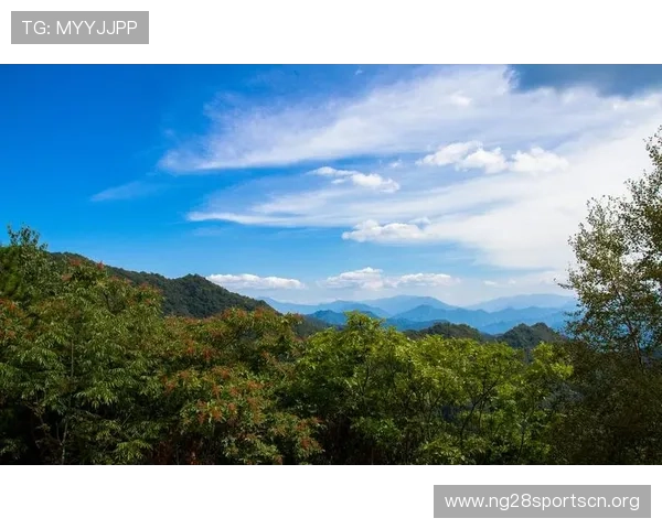 南宫28网页版最新版本更新内容及维护公告详细解读 南宫28网页版最新版本更新内容及维护公告详细解读