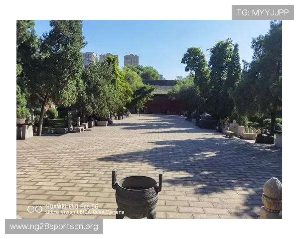 南宫中国:探索南宫文化的历史渊源与现代发展之路 南宫中国:探索南宫文化的历史渊源与现代发展之路