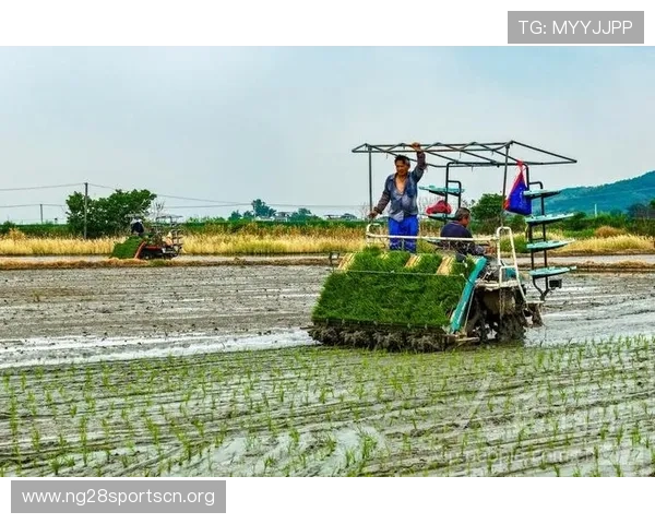 南宫娱乐官方平台介绍ng28南宫游戏的最新玩法与特色内容