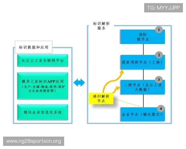 全面解析PP官方下载流程及常见问题解决方案推荐给新手玩家