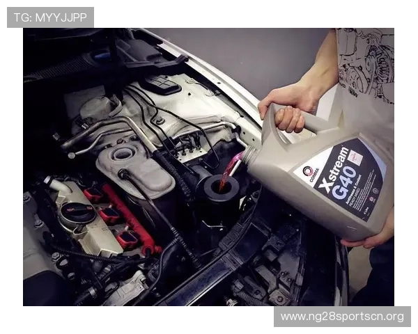 南宫体育h5的合作伙伴与品牌背书，增强平台的专业性与信任度